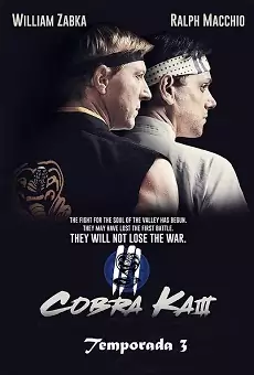 Ver Cobra Kai Temporada 3 Capitulo 02 HD Gratis